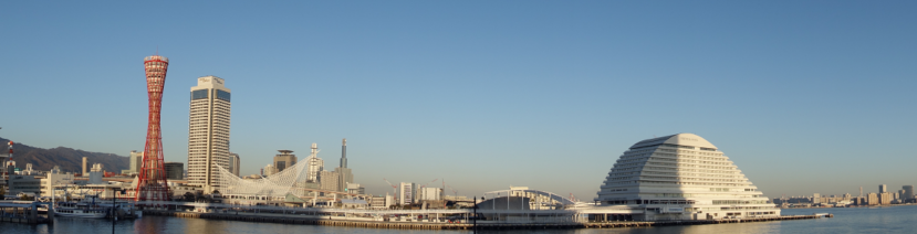 画像の代替テキストを入力ください。