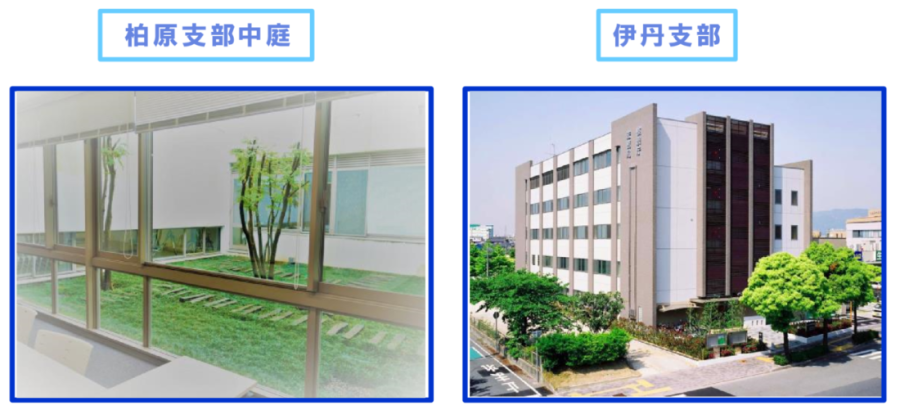 画像の代替テキストを入力ください。