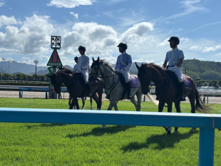 競馬場で馬が歩いている様子