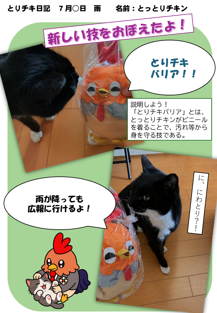 猫ととりチキ